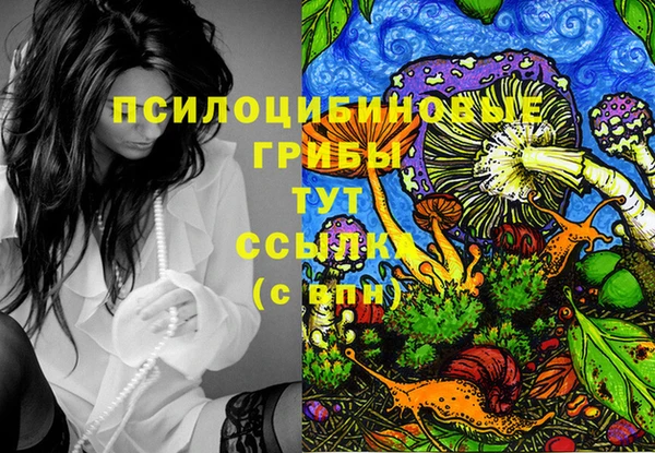прущая мука Абаза